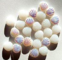 25 8mm Milky White Opal AB Flat Shell Beads
